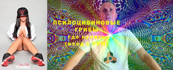 мдпв Киренск