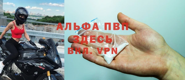 шишки Кодинск